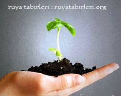 ruyada-agac-dikmek