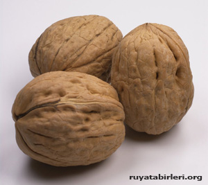 ruyada-ceviz-gormek