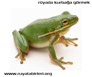 kurbağa