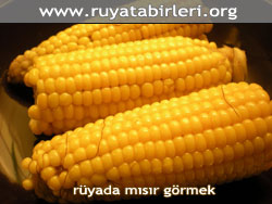 ruyada-misir-gormek