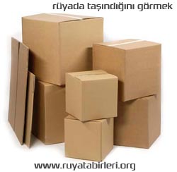 ruyada-tasindigini-gormek